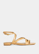 CAMEL CROCO